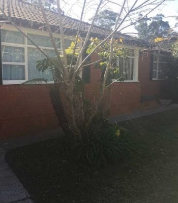 150 Blackbutts Rd, Frenchs Forest