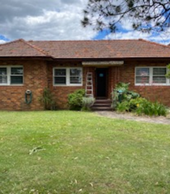 Picture1