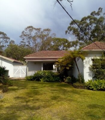 Picture1