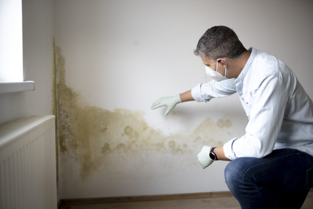 Moisture and Mold Inspection